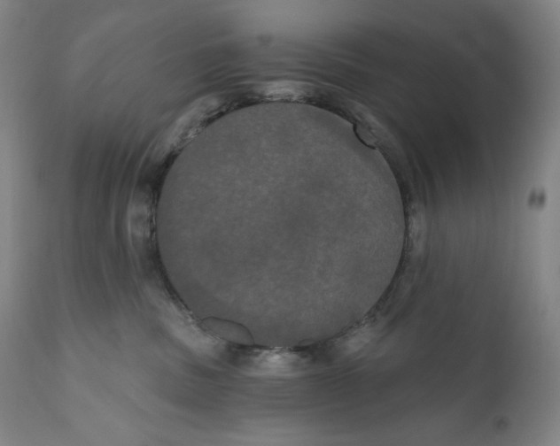 X0000111020379200907101346