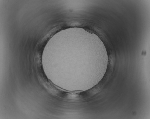 X0000111020380200907101346