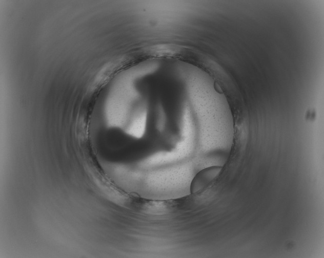 X0000111020381200907101346