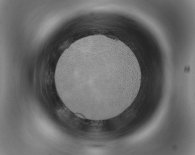 X0000111020382200907101346
