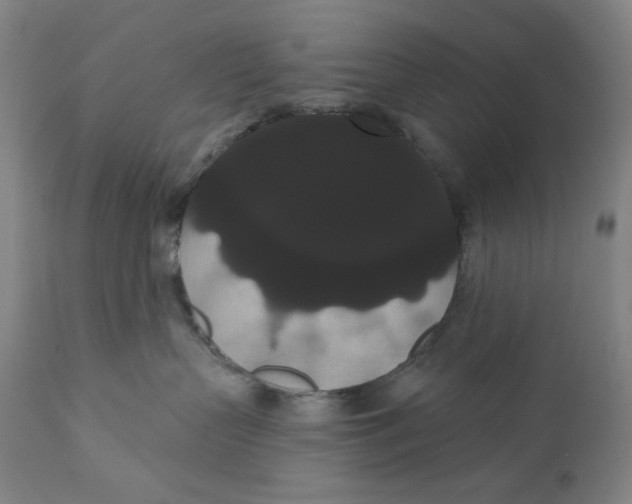 X0000111020383200907101346