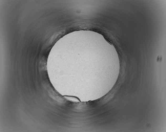 X0000111020384200907101346