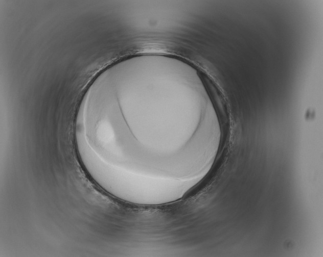 X0000111020385200907101345