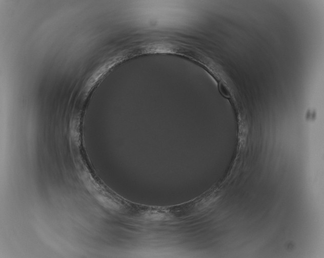 X0000111020386200907101345