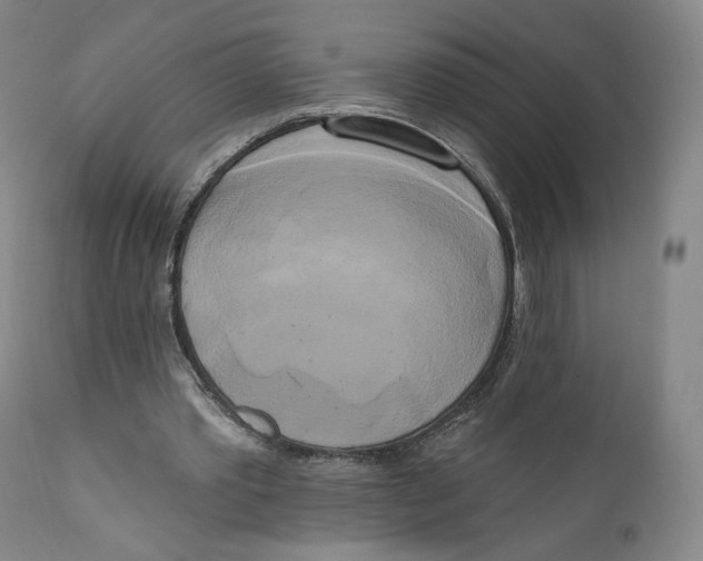 X0000111020389200907101345