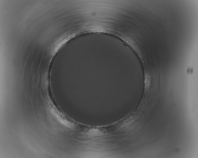 X0000111020390200907101345