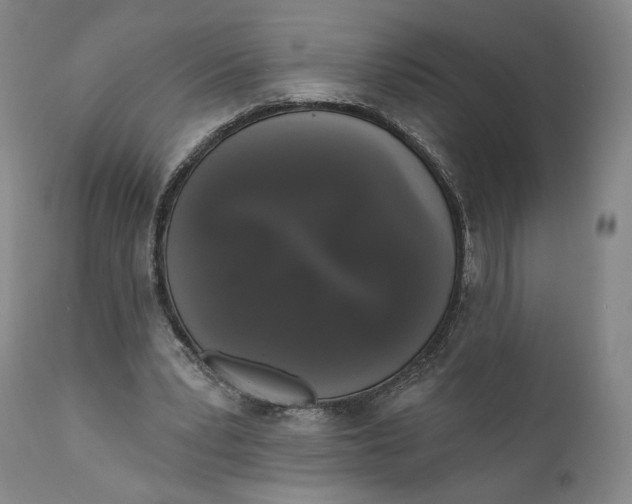 X0000111020391200907101345