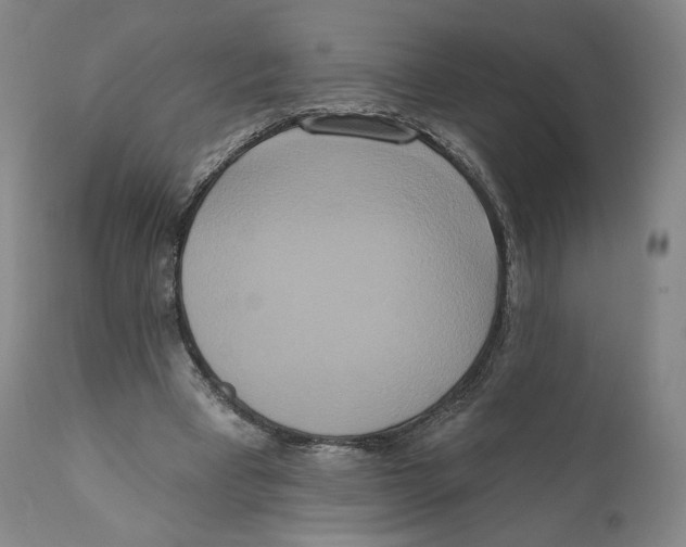 X0000111020393200907101345