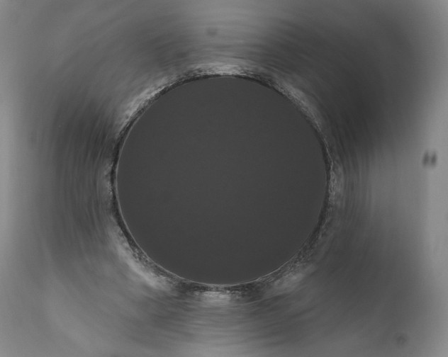 X0000111020394200907101345
