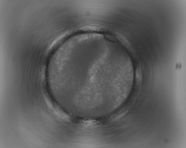 X0000111020396200907101345