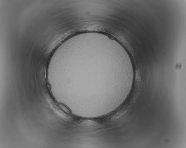 X0000111020397200907101345