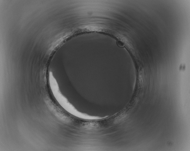 X0000111020398200907101345