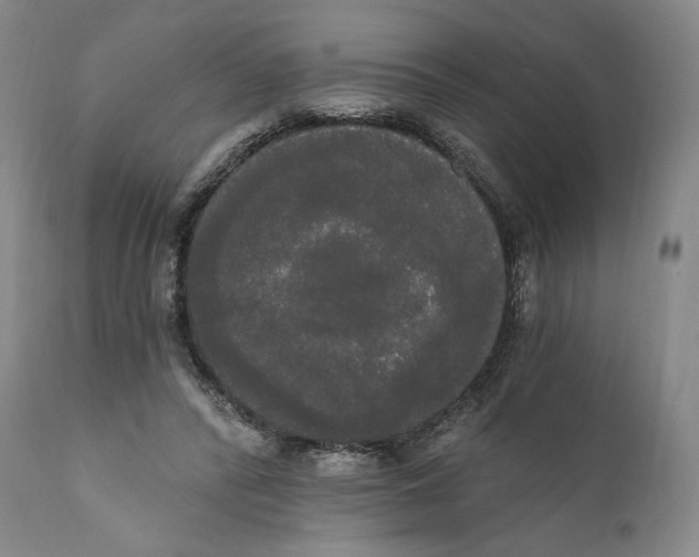 X0000111020400200907101345