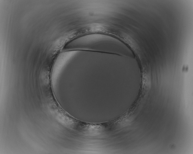 X0000111020401200907101345