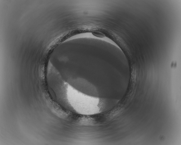 X0000111020403200907101345