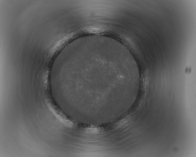 X0000111020404200907101345