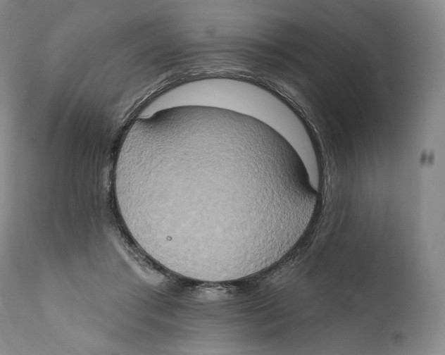 X0000111020405200907101345