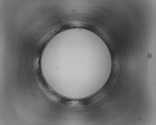 X0000111020406200907101345