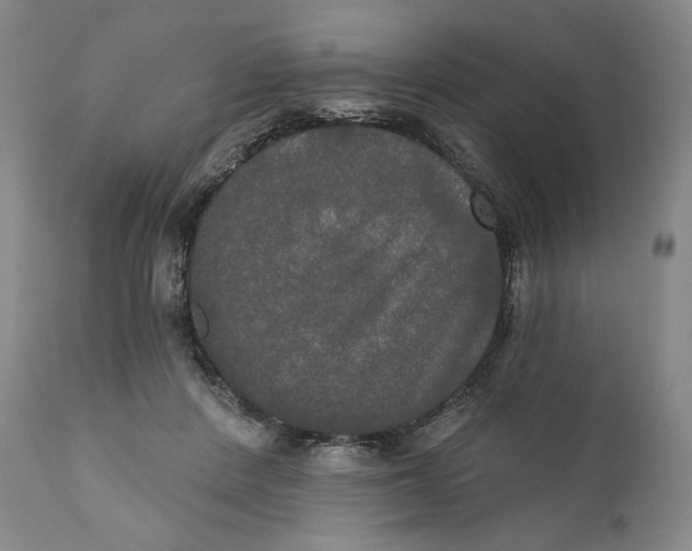 X0000111020408200907101345