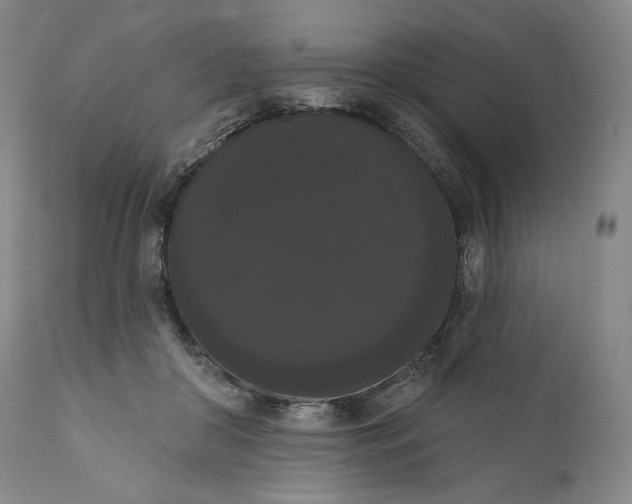 X0000111020410200907101345