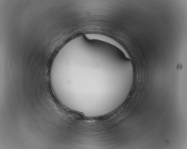 X0000111020411200907101345