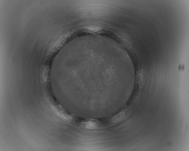 X0000111020412200907101345