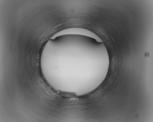X0000111020413200907101345