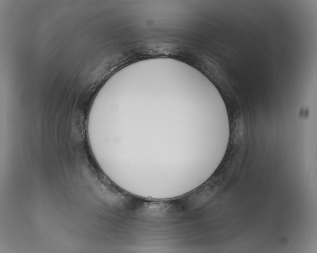 X0000111020414200907101344