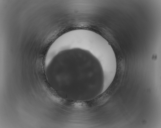 X0000111020415200907101344