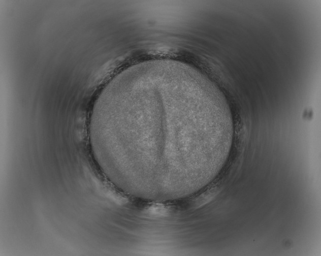 X0000111020416200907101344