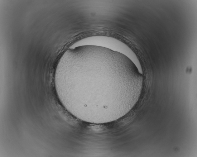 X0000111020417200907101344