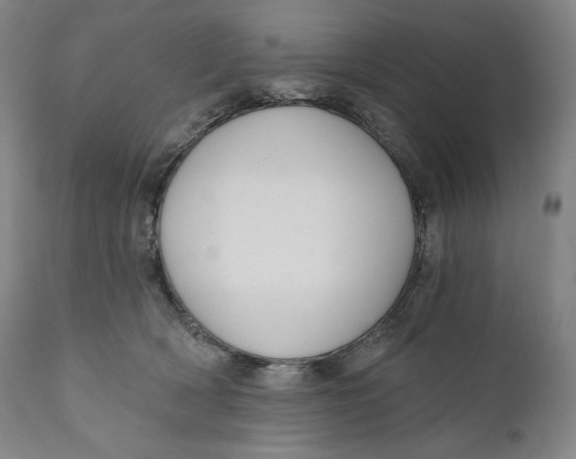 X0000111020418200907101344