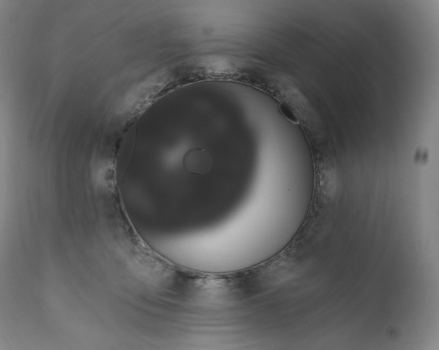 X0000111020419200907101344