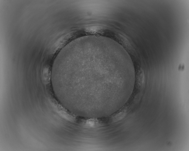 X0000111020420200907101344