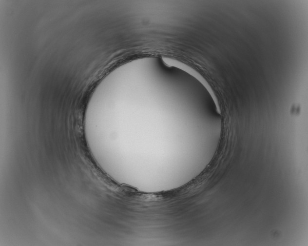 X0000111020421200907101344