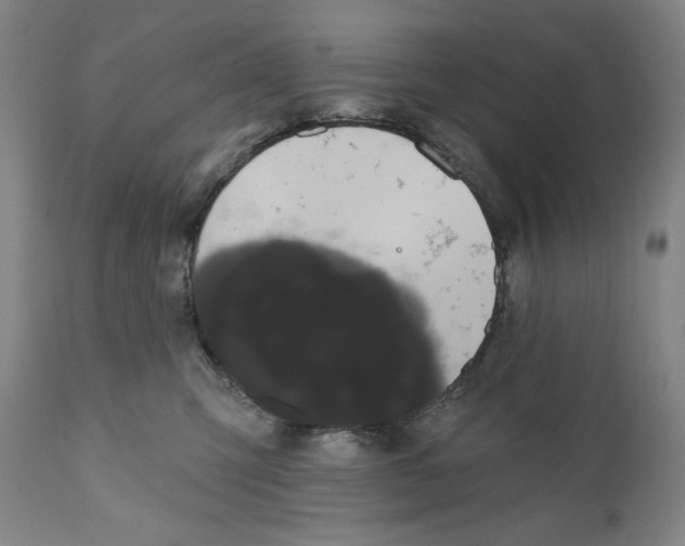 X0000111020423200907101344