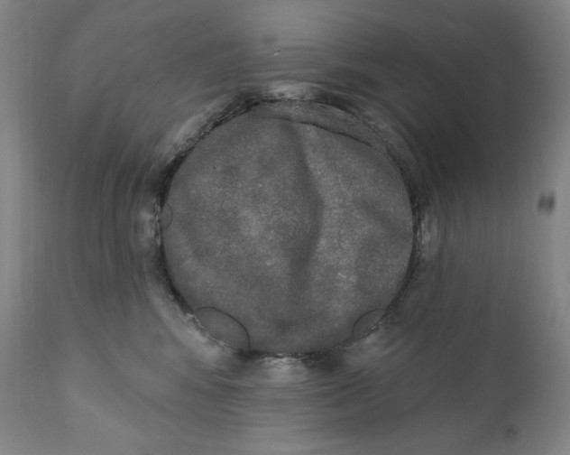 X0000111020424200907101344