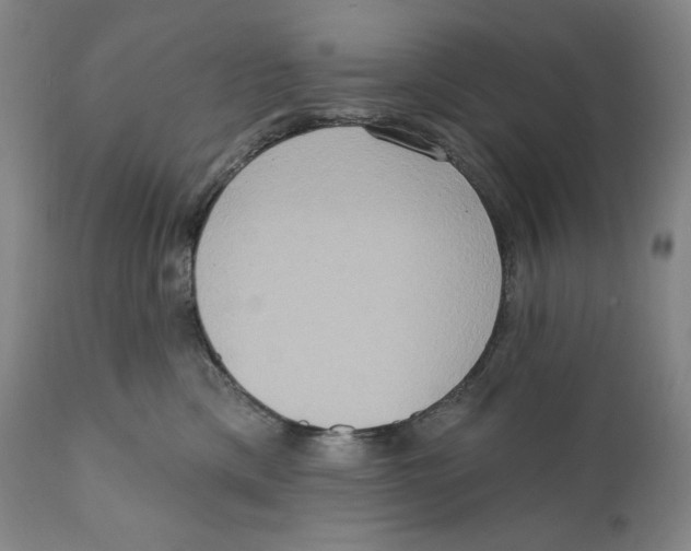 X0000111020425200907101344