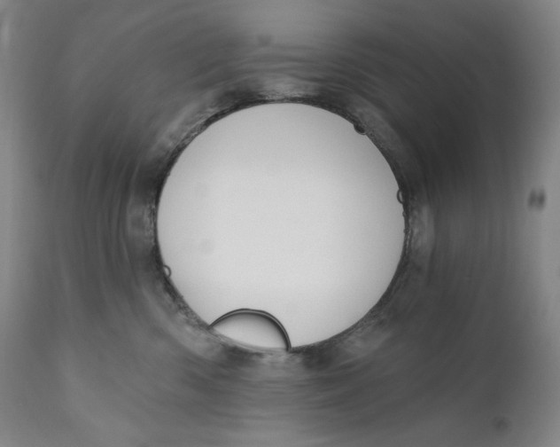 X0000111020426200907101344