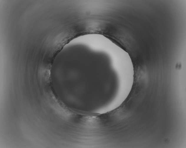 X0000111020427200907101344