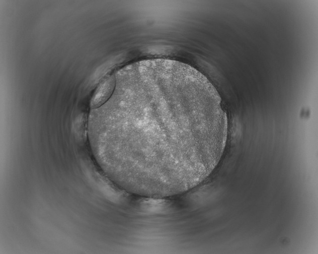 X0000111020428200907101344