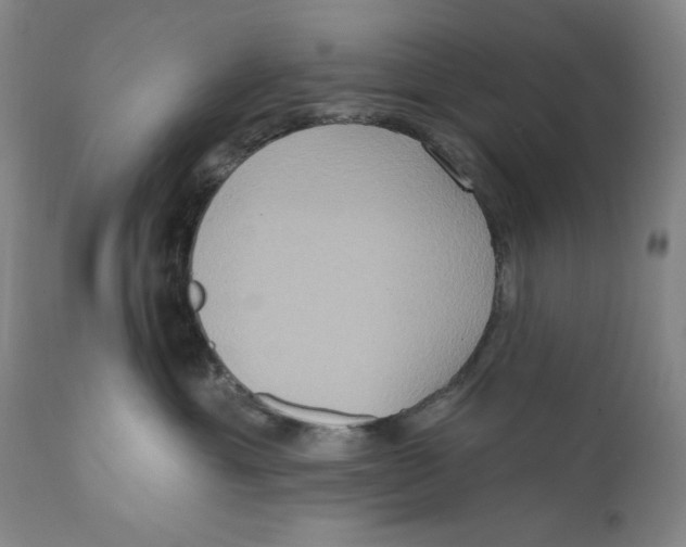 X0000111020429200907101344