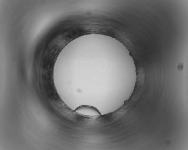 X0000111020430200907101344