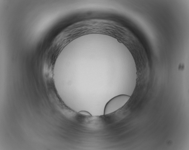 X0000111020431200907101344