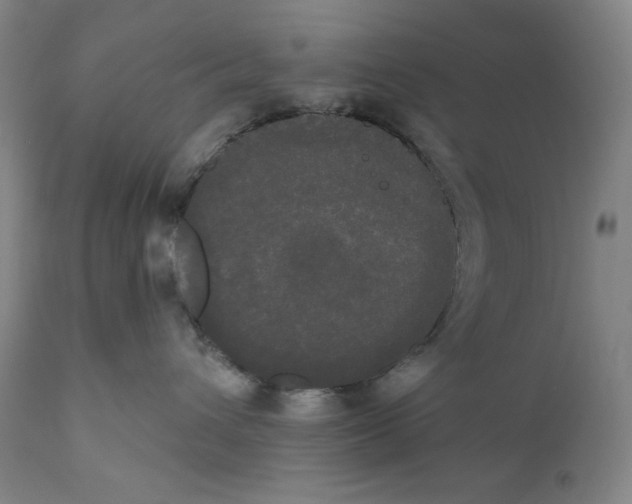 X0000111020432200907101344