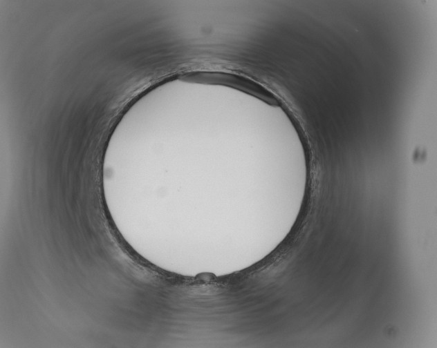 X0000111020433200907101343
