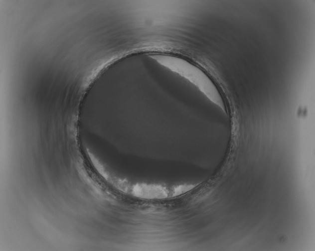 X0000111020434200907101343