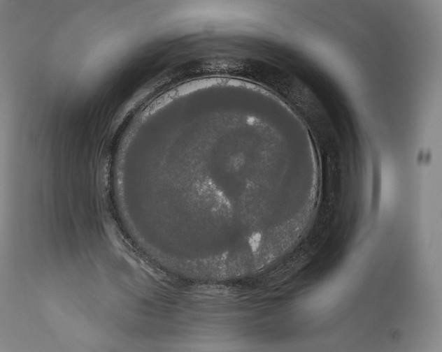 X0000111020435200907101343