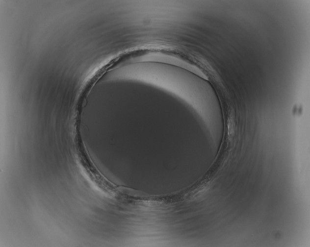 X0000111020436200907101343