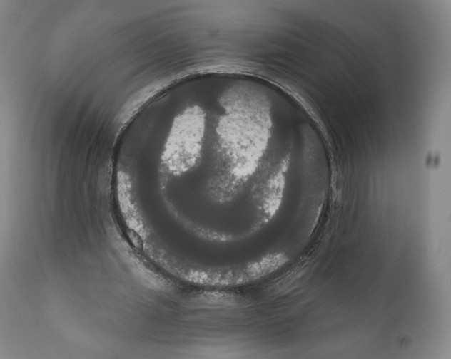 X0000111020437200907101343